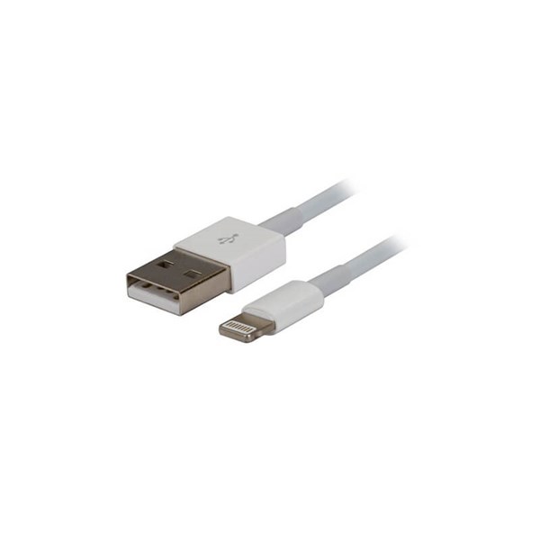 Dynamix USB 2.0 to Lightning Charging Cable for Apple iPhone/iPad - 1m